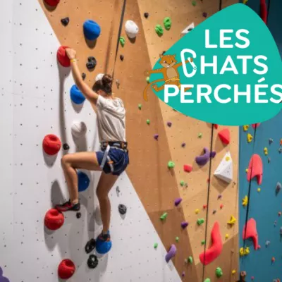 Les Chats Perchés Perpignan